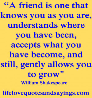 friend is one that knows you as you are, understands where you have ...