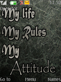 My Life My Attitude