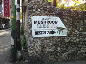 Bali trip mushrooms + experience