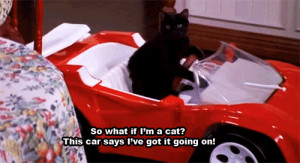 my gifs Sabrina the teenage witch Salem Saberhagen salem my sabrina ...