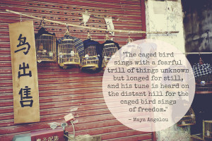 Know Why the Caged Bird Sings... Art Print