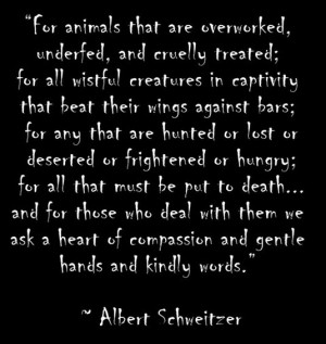 albert schweitzer quotes animals