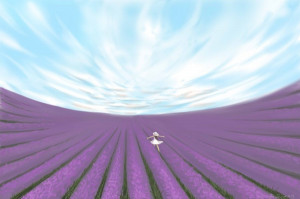Photo Wallpaper Lavender Field