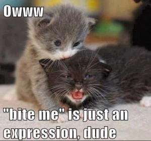 Owww 'bite me' is just an expression, dude 