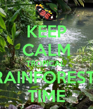 ... rainforest facts tropical rainforest ecosystem extremely important