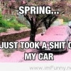 Funny and Cute Spring Quote 2014 2015 funny image