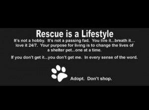Rescue is a lifestyle: Animal Rescue, Dogs Stuff, Animal Advocaci ...