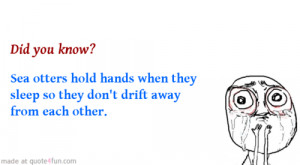 Sea otters - awesome, famous and funny quotes at quote 4 fun