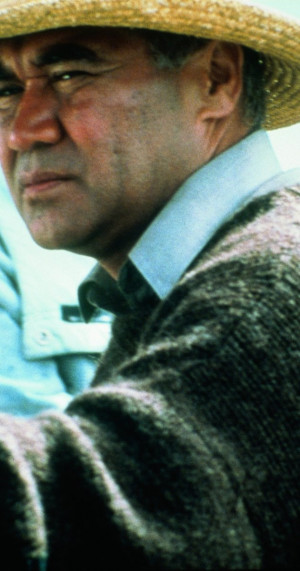 MV5BMzk4NTQ5MDEzMV5BMl5BanBnXkFtZTcwOTkyMTg4NA@@._V1_SY1200_CR587,0 ...