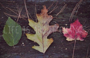 nothing stays the same