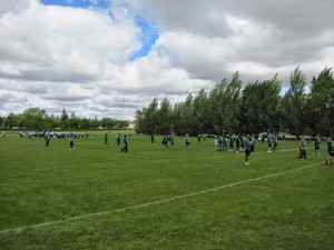 Track And Field Throwing Quotes The saskatoon city track
