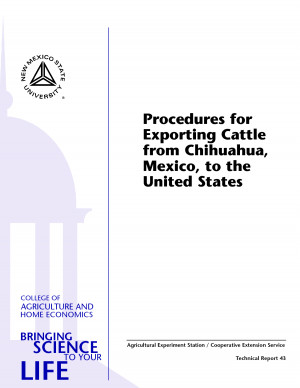 Chihuahua Certificate by vgd14238