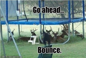 Funny Trampoline