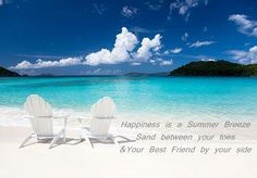 Quote of the day “ Happiness is a summer breeze, sand between your ...