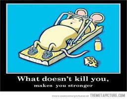 Life Lesson Number 1 Very Cute Mouse Trap Working Fitness Funny ...