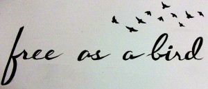 free_as_a_bird.jpg