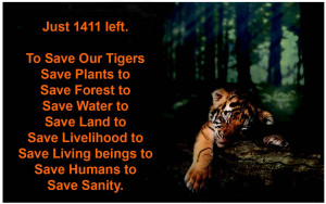 SAVE OUR TIGERS Campaign Corrected
