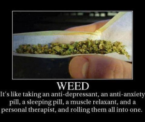 Weed - All You Need Rolled Into One Image
