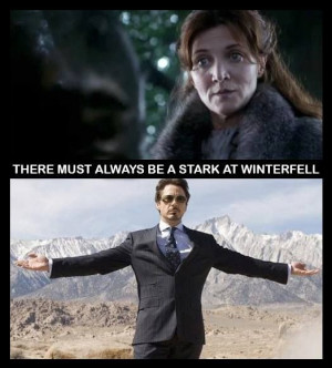 Game of Thrones Iron Man Funny Quote