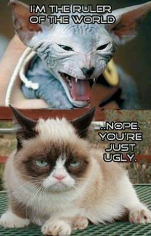 GrumpyCat #meme For more Grumpy Cat stuff, gifts, and meme visit www ...