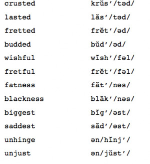 What Syllable Structure