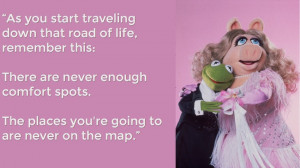... and find your inner hog loving frog with 12 kermit the frog quotes