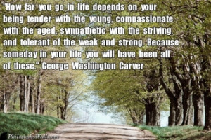 George Washington Carver -