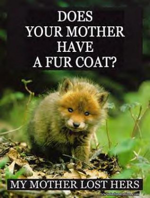 Don't buy cruelty. Don't buy fur imported from China. China uses cats ...