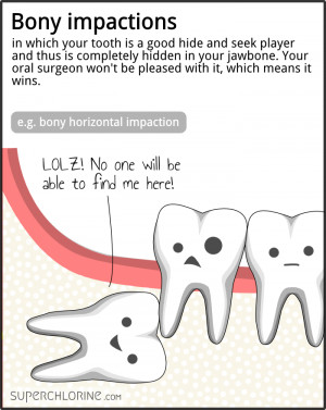 wisdom teeth funny quotes