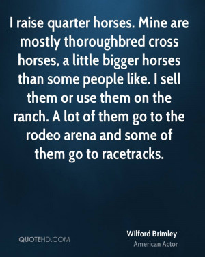 wilford-brimley-wilford-brimley-i-raise-quarter-horses-mine-are-mostly ...