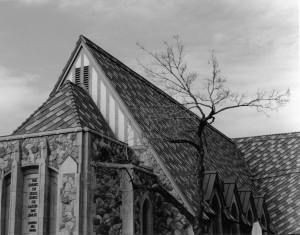 Mobile Tablet Print Wallpaper