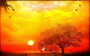 Orange Tree And Yellow Sky