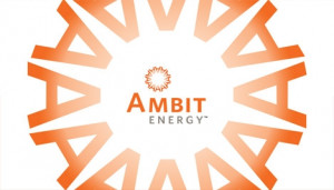 in 1 to 2 business days name position ambit energy consultant energy