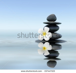 ... stones with frangipani plumeria flower in water reflection - stock