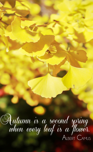 Autumn leaves quote