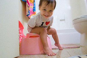 If you've gone through potty training you know how difficult the ...