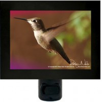 Precious Moment in Time” Hummingbird Night Light $30
