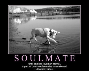 soulmate Image