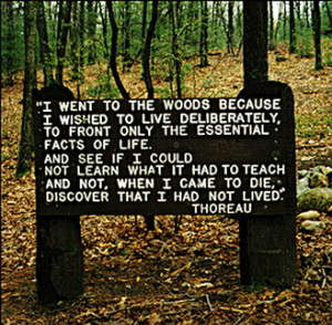 Remembering Henry David Thoreau, and Snippets of Walden