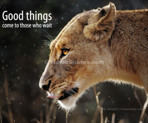 Lioness Quotes