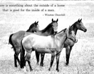 ... Photos, Horses, Herd, Black and White, Equines, Thoroughbreds, Quotes