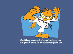Quotes Garfield Wallpaper 1024x768 Quotes, Garfield, Martial, Arts ...