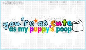 Youre-as-cute-as-my-puppys-poop