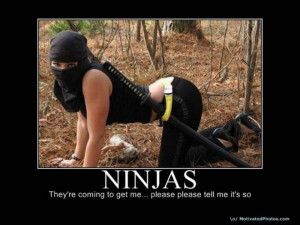 Posted by Felipe Menou at 8:46 AM