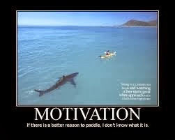 Motivational Quote's from Shark Tank