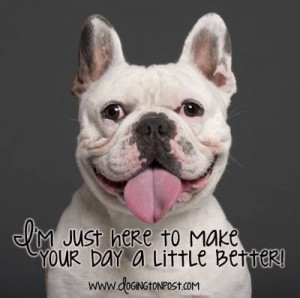 Make your day a little better