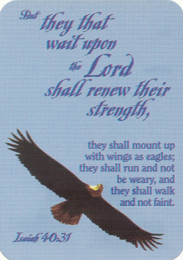 Bible Eagle