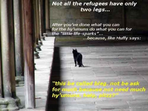 hate my Husbands sister.. What to do? (mother-in-law, how to