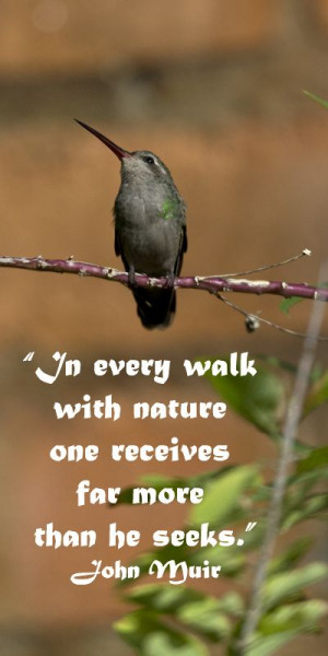 ... touchstone quotes at http://www.examiner.com/article/over-thirty