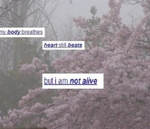 long soft grunge quotes